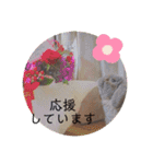 山本ホタルのスタンプ2（個別スタンプ：8）