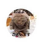 山本ホタルのスタンプ2（個別スタンプ：11）