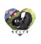 山本ホタルのスタンプ2（個別スタンプ：16）