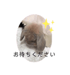 山本ホタルのスタンプ2（個別スタンプ：18）
