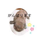 山本ホタルのスタンプ2（個別スタンプ：20）