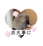 山本ホタルのスタンプ2（個別スタンプ：23）