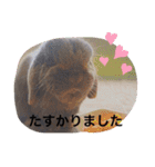 山本ホタルのスタンプ2（個別スタンプ：24）