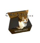 カワイイが仕事 子福と桃次郎（個別スタンプ：10）
