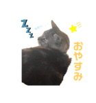 RINฅ( ˙꒳​˙ ฅ)（個別スタンプ：6）