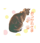 RINฅ( ˙꒳​˙ ฅ)（個別スタンプ：7）