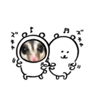 珀のすけ（個別スタンプ：2）