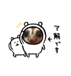 珀のすけ（個別スタンプ：4）