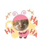 珀のすけ（個別スタンプ：13）
