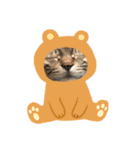 珀のすけ（個別スタンプ：14）