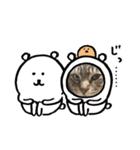 珀のすけ（個別スタンプ：15）