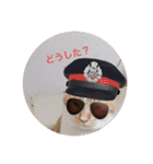 珀のすけ（個別スタンプ：16）