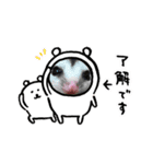 珀のすけ（個別スタンプ：22）