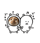 珀のすけ（個別スタンプ：27）