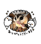 珀のすけ（個別スタンプ：29）