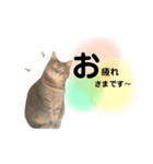 pun sta（個別スタンプ：6）