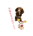 ファンファンLife2（個別スタンプ：3）