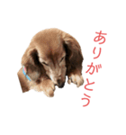 ファンファンLife2（個別スタンプ：7）