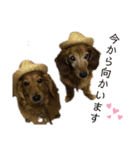 ファンファンLife2（個別スタンプ：9）