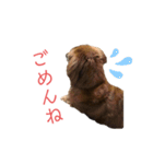 ファンファンLife2（個別スタンプ：10）