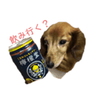 ファンファンLife2（個別スタンプ：11）