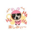 マルプーのあずきちゃん（個別スタンプ：10）