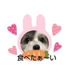 マルプーのあずきちゃん（個別スタンプ：15）