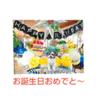 マルプーのあずきちゃん（個別スタンプ：27）