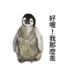 動物ライフ（個別スタンプ：2）
