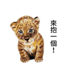 動物ライフ（個別スタンプ：5）