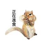 動物ライフ（個別スタンプ：6）