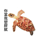 動物ライフ（個別スタンプ：14）