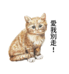 動物ライフ（個別スタンプ：16）