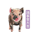 動物ライフ（個別スタンプ：19）