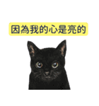 動物ライフ（個別スタンプ：22）
