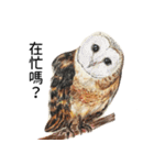 動物ライフ（個別スタンプ：23）