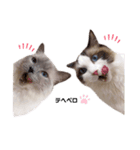nyaaaaalsok（個別スタンプ：9）