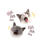 nyaaaaalsok（個別スタンプ：13）