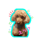 オーランド♪（個別スタンプ：1）