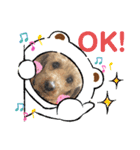オーランド♪（個別スタンプ：3）