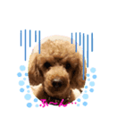 オーランド♪（個別スタンプ：4）