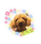 オーランド♪（個別スタンプ：6）