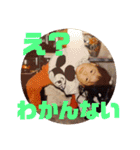 せしたん喜怒哀楽（個別スタンプ：8）