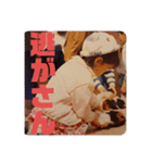 せしたん喜怒哀楽（個別スタンプ：14）