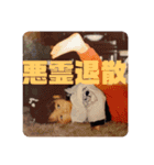 せしたん喜怒哀楽（個別スタンプ：26）