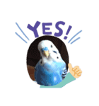 インコのぴーちゃんのすたんぷ（個別スタンプ：2）