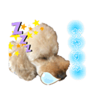 MOAスタンプ2（個別スタンプ：4）