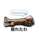 ミックス.T.October3（個別スタンプ：2）
