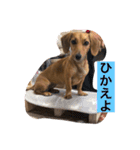 ミックス.T.October3（個別スタンプ：6）