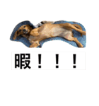 ミックス.T.October3（個別スタンプ：9）